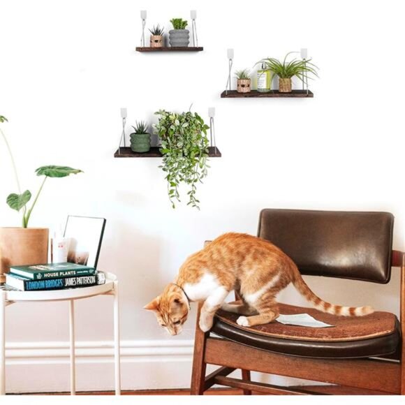 Floating Shelves Set of 3 Rustic Solid Wood Floating Shelf Wall Storage - Picture 2 of 8